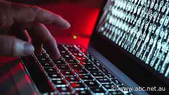 Online activity during COVID lockdowns sees surge in cyber attacks