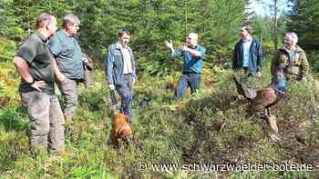 Bad Wildbad: Eine Biotopfläche für den Auerhahn