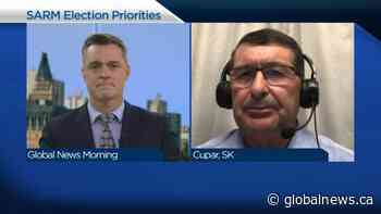 What rural Saskatchewan is looking for in the federal election