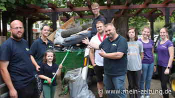„MoselCleanUp“: Jede Menge Müll entsorgt - Kreis Cochem-Zell - Rhein-Zeitung