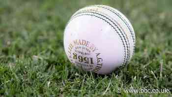 Cameroon v Uganda: Bowler Mankads four batters
