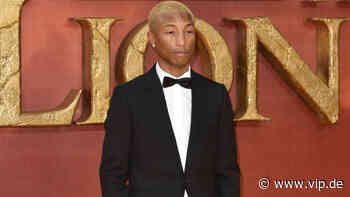 Pharrell Williams: Ihm geht es wieder besser - VIP.de, Star News