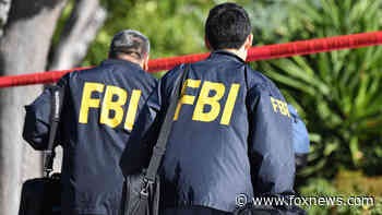 NYPD, FBI arrest infamous Colombo crime family bosses and associates: sources