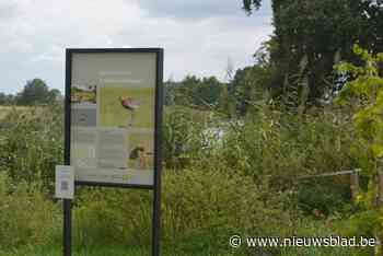 National Geographic promoot Kalkense Meersen: zoveel natuurpracht vraagt om gefotografeerd te worden