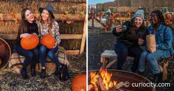 Thousands of lights & bonfires to light up the Calgary Farmyard for after-hours nights this fall - Curiocity