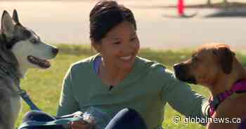 Pandemic pets a lifesaver to many Canadians during COVID-19 isolation