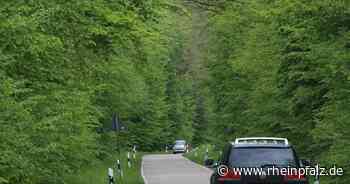 Bienwald-Radweg: Klage nicht zulässig - Rheinpfalz.de