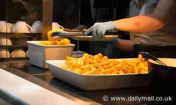 Workplace cafeterias can cut portion sizes to help stop obesity, study suggests