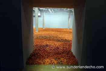 Final chance to see Turner Prize-winning Antony Gormley work in Sunderland - Sunderland Echo