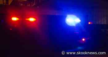 Saint Clair Woman Facing Access Device Fraud Charges - Skook News