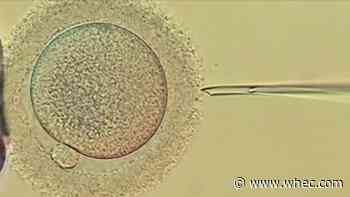 Fertility specialist on protections for sperm recipients