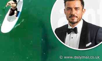 Orlando Bloom proves to be fearless as he paddleboards with a great white SHARK off the Malibu coast