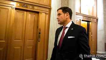 Rubio demands Biden fire Milley