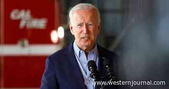 Joe Biden's Ancestors Owned Multiple Slaves, Genealogists Reveal