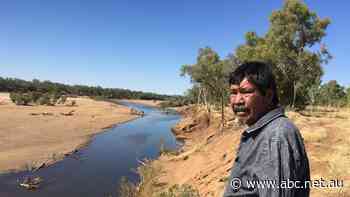 Neil has come out of retirement to investigate the 'disturbing' online trade in human bones