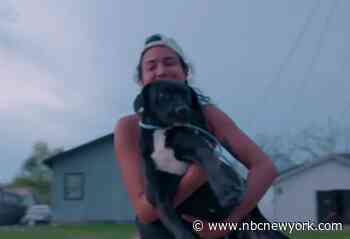 How One Man Saves Animals From Natural Disasters - NBC New York