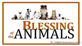 Blessing of the Animals at St Paul's, September 19 - Millstone News