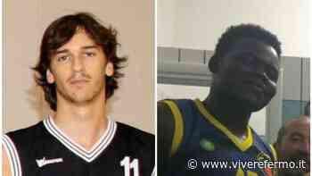 Basket Fermo: conferma dello sponsor e nuovi arrivi per la serie D - Vivere Fermo