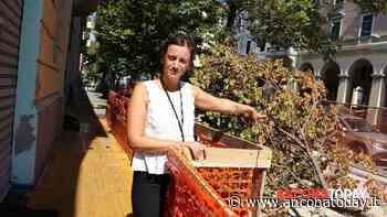 «Restyling sì, ma non si tiene un cantiere fermo in questo degrado» - AnconaToday