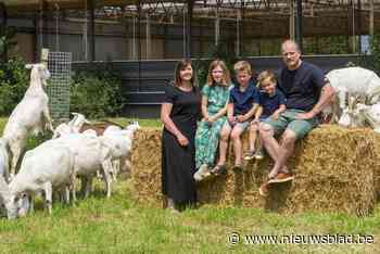 Op wandel tussen koeien, varkens en geiten tijdens Dag Van de Landbouw