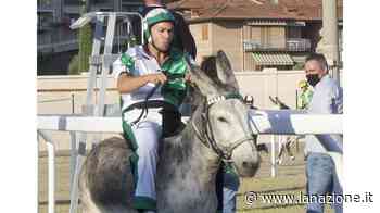 Il Prato vince il Palio dei Ciuchi con il fantino Pampero e Duecento - LA NAZIONE