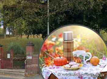 Picnic in the park will celebrate centenary of Marsh Park | Dudley News - Dudley News