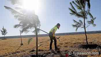 Tulsa Master Gardener's answers about fall planting, pests, pollinators and more - Tulsa World