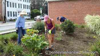 Master Gardener Visiting Farmers Market | Pennsylvania News - Pennsylvanianewstoday.com