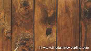 Master Gardener: Decorating for fall with gourds | Lifestyles | thedailynewsonline.com - The Daily News Online