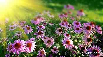 Southern Idaho Master Gardener Symposium Event on Saturday - kezj.com