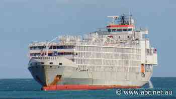 What happened to Gulf Livestock 1? Questions remain unanswered a year on from sunken live export ship