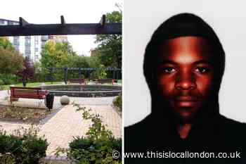 Brookmill Park: E-fit released after three couples robbed