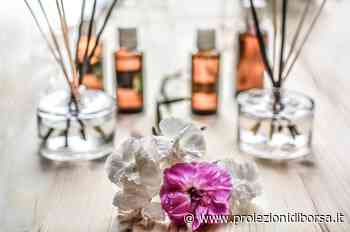 Come eliminare la puzza della genovese con l’erba aromatica dal profumo unico - Proiezioni di Borsa