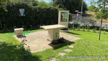 Cogliere Dio in un filo d'erba: il Circolo Laudato si' nelle Selve - Vatican News