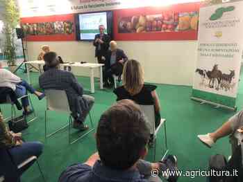 Valorizzazione erba medica italiana è patto tra agricoltura e zootecnia - Agricultura.it