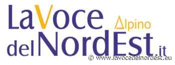 Arco, travolto da un’auto mentre taglia l’erba in giardino: è gravissimo - La Voce del NordEst
