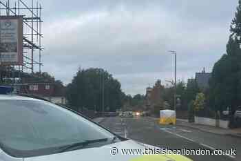 Murder arrest: 51-year-old man stabbed to death in Bromley