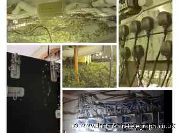 Massive cannabis farm worth almost £1m found in house in Coronation Street