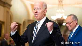 Democrats say Biden must get more involved in budget fight