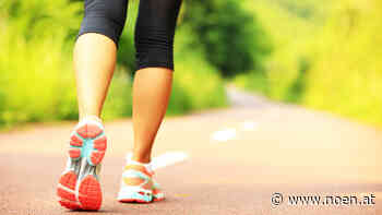 Neunkirchen - Rot-Kreuz-Benefizlauf: "Bleib fit und hilf mit" - NÖN.at
