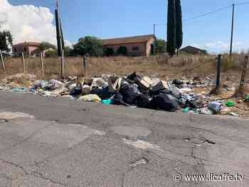 "Via Strampelli ad Ardea è diventata una discarica": l'appello di una lettrice - Il Caffè.tv