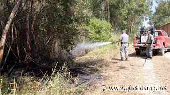 Incendi, tre piromani arrestati ad Ardea: cumuli di rifiuti in fiamme su un'area pubblica - QUOTIDIANO NAZIONALE