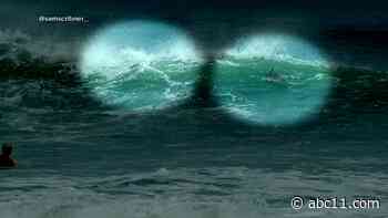 Shark attack caught on video: Teen bitten while surfing in Florida