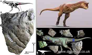 Fossils: Scientists reconstruct Carnotaurus - revealing a complex coat of scales, bumps and wrinkles