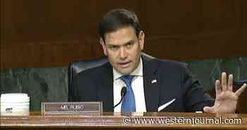 Senators to Roll Out Bill That Would Force Biden Admin to Take Action on the Taliban