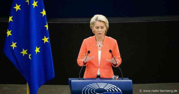 Von der Leyen will EU widerstandsfähiger machen