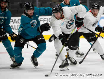 San Jose Sharks: Five players to follow at the ‘Rookie Faceoff’ - The Mercury News