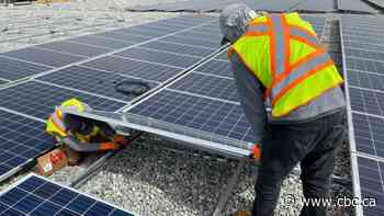Cheaper panels, interest in going green spurs boom in rooftop solar