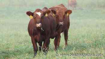 USRSB launches additional beef sustainability modules