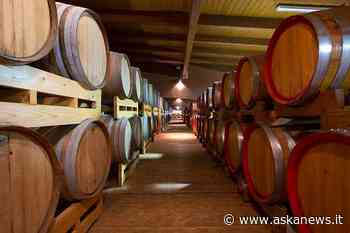 Aceto balsamico Modena: Prosek nuovo schiaffo Ue a made in Italy - Agenzia askanews